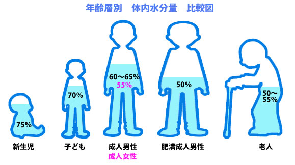 体内水分率グラフ
